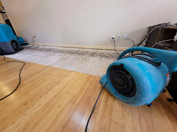 Professional Burst Pipe Water Damage technician working in Gifford, FL